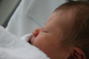 Max Daneel Warren